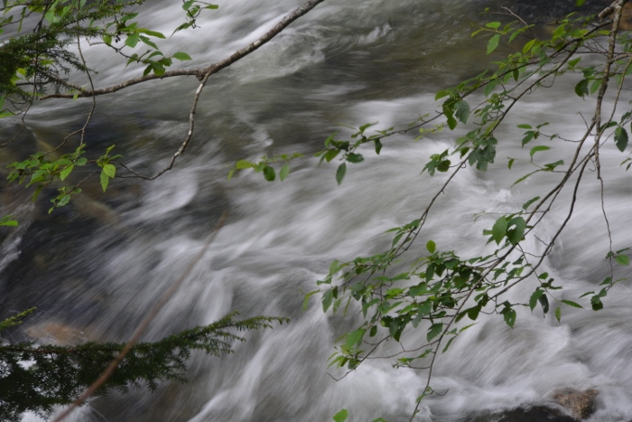 Ketchikan Creek in slow motion